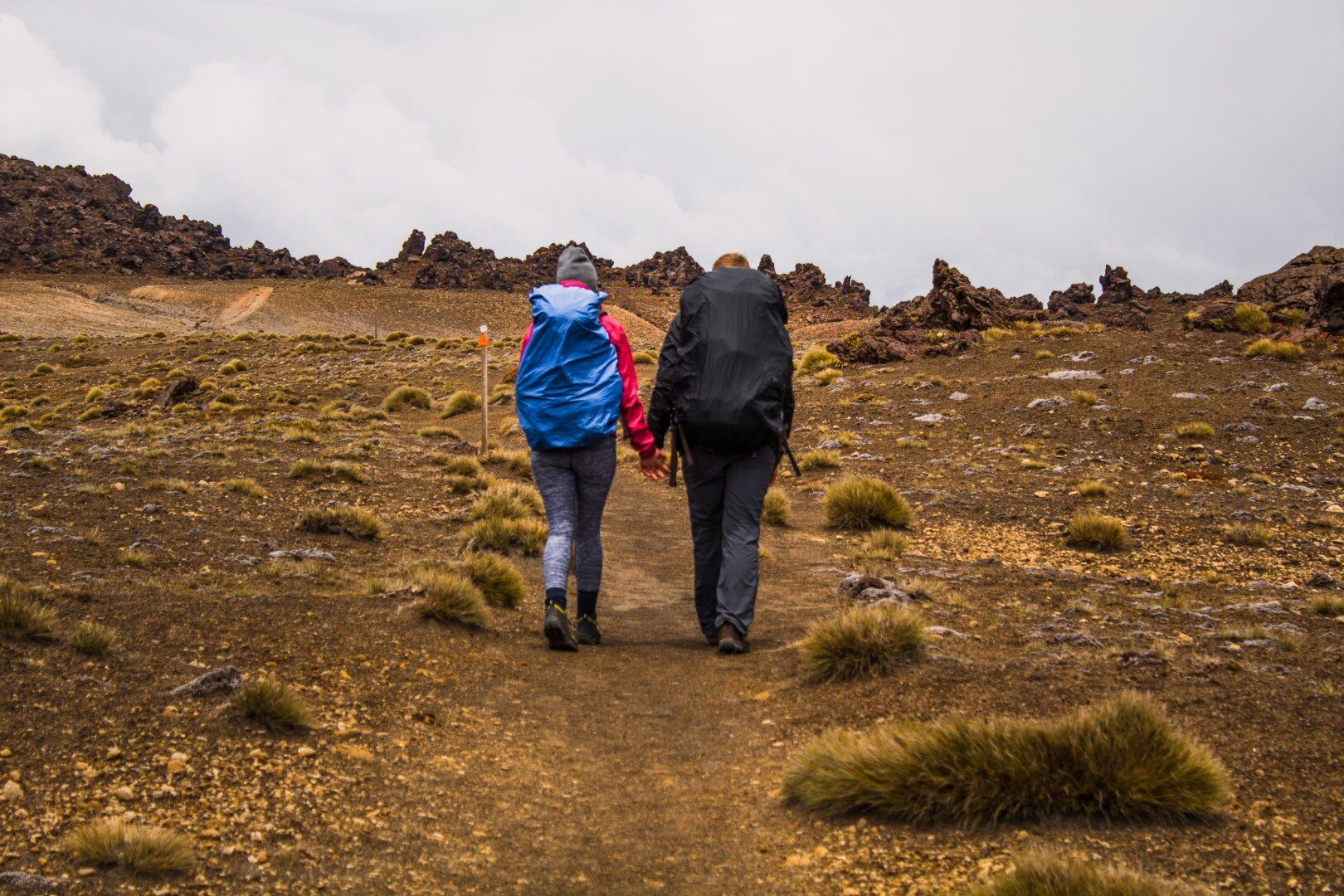 Day 2: Oturere Hut to Waihohonu Hut