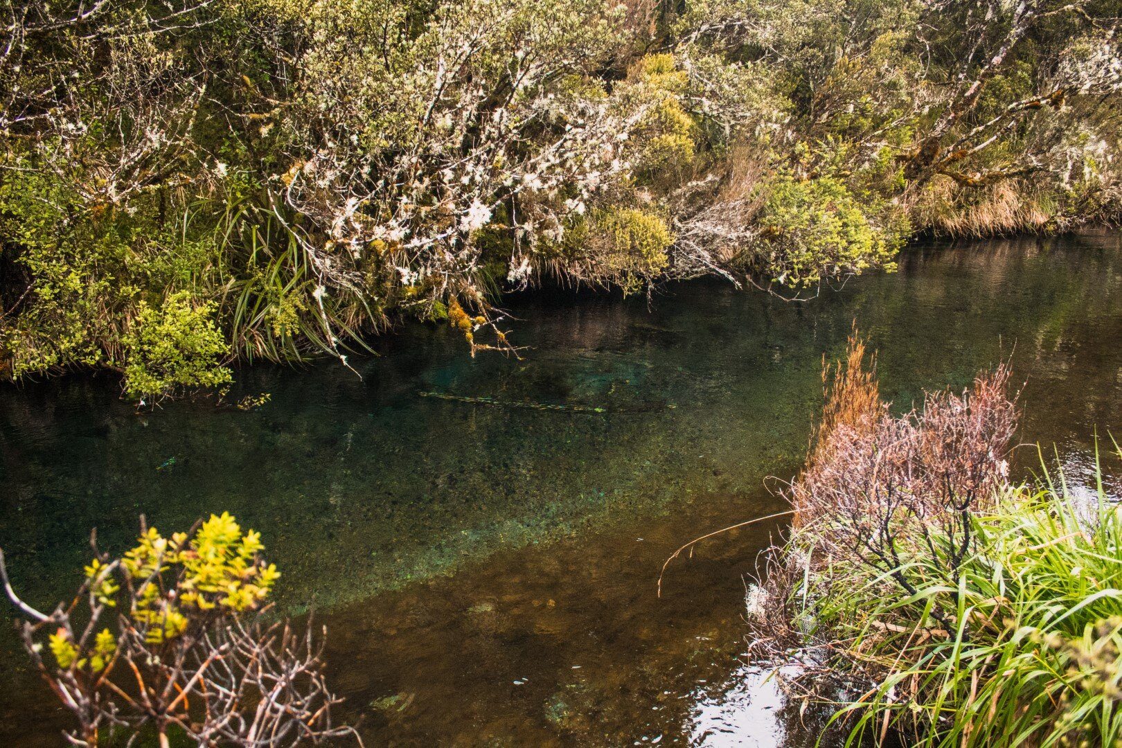 Day 2: Ohinepango Springs, a 40 min return side-trip from the Waihohonu Hut